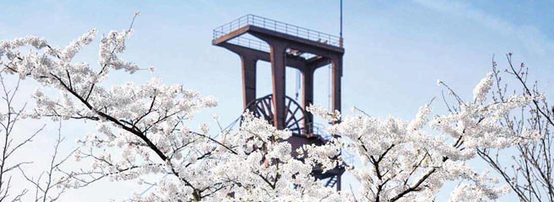 Zeche Zollverein Essen.jpg