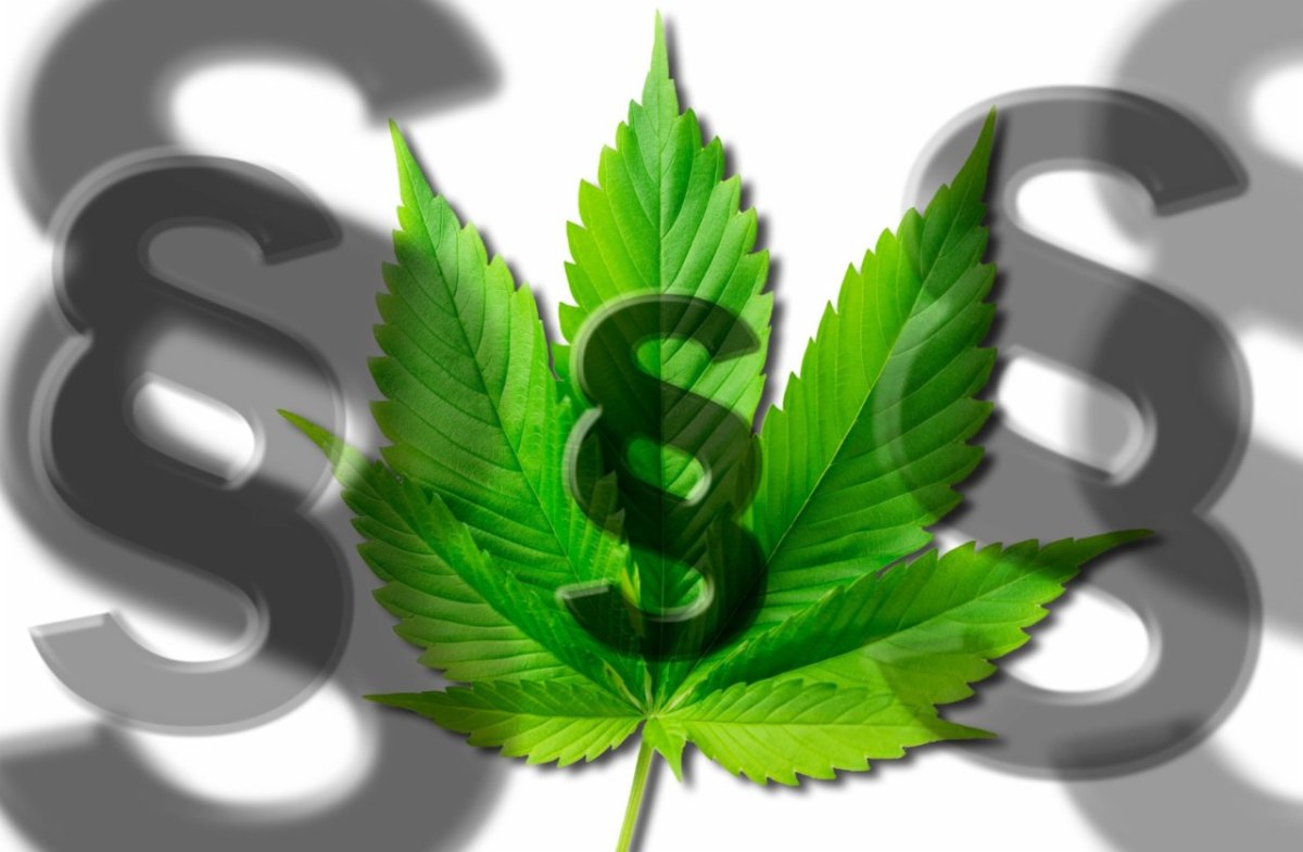 cannabis.jpg