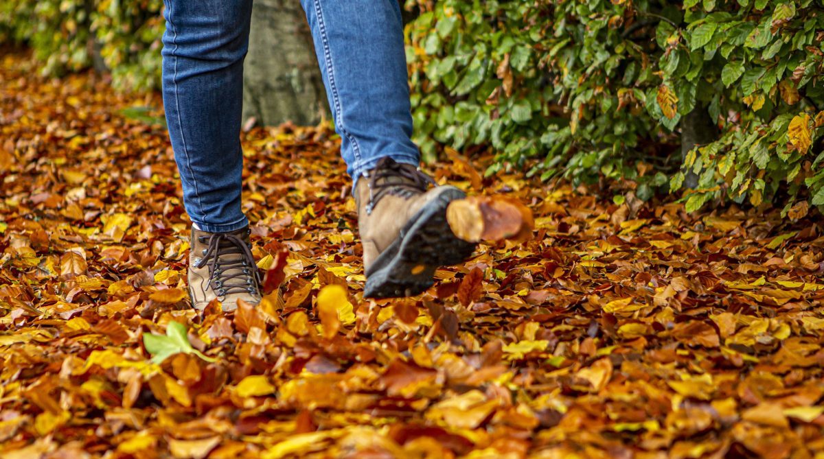 Frau lÃ¤uft Ã¼ber Herbstlaub