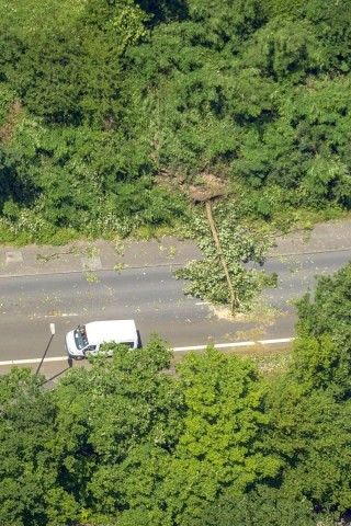 Ein umgekippter Baum auf der Freiherr-vom-Stein-Straße in Essen.