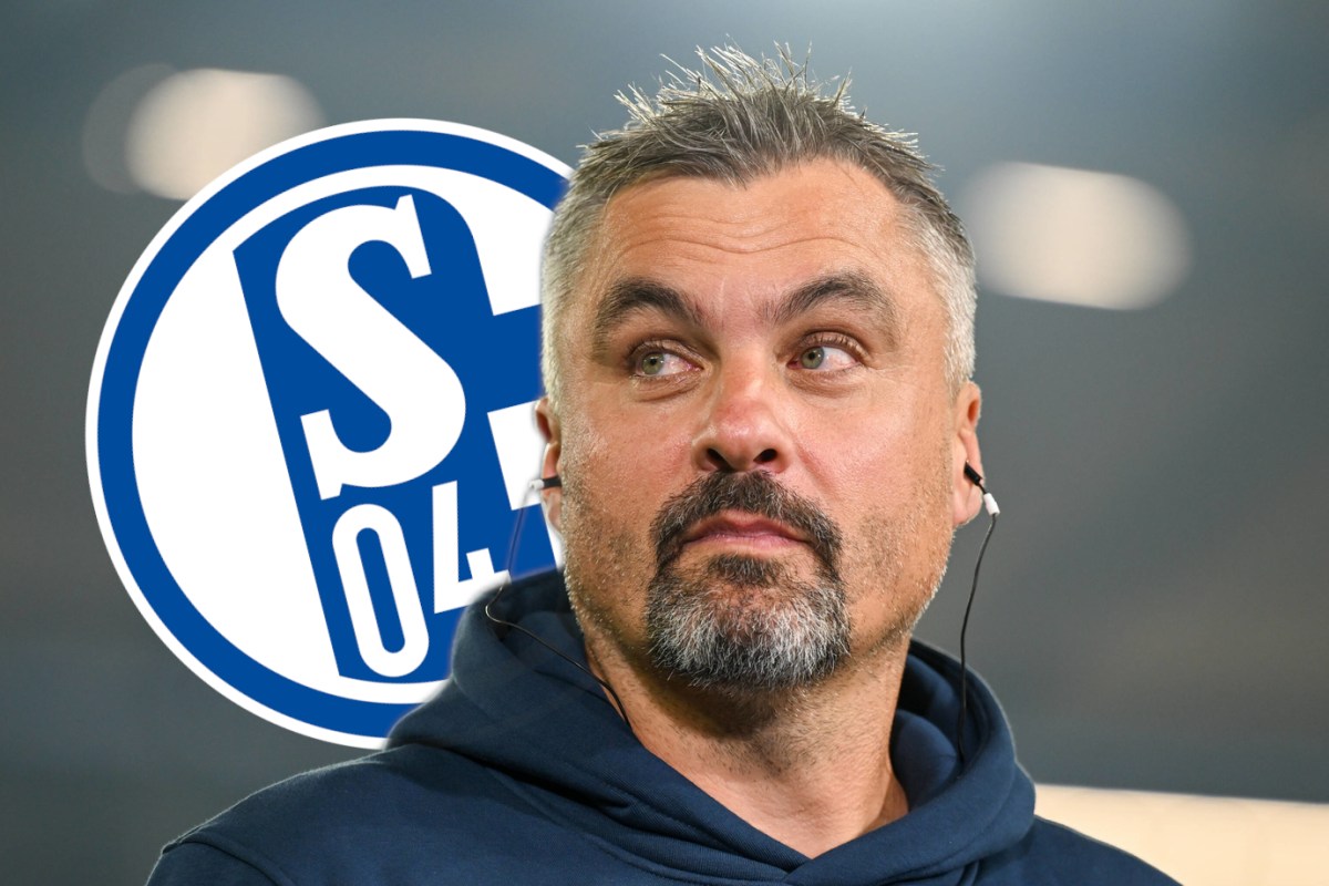 Thomas Reis schaut auf das Wappen des FC Schalke 04.