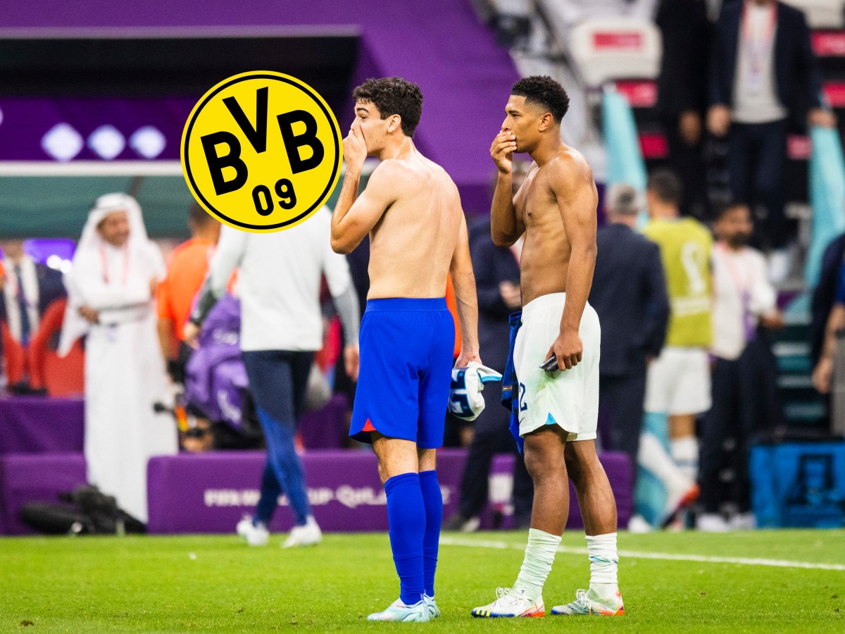Borussia Dortmund Reyna