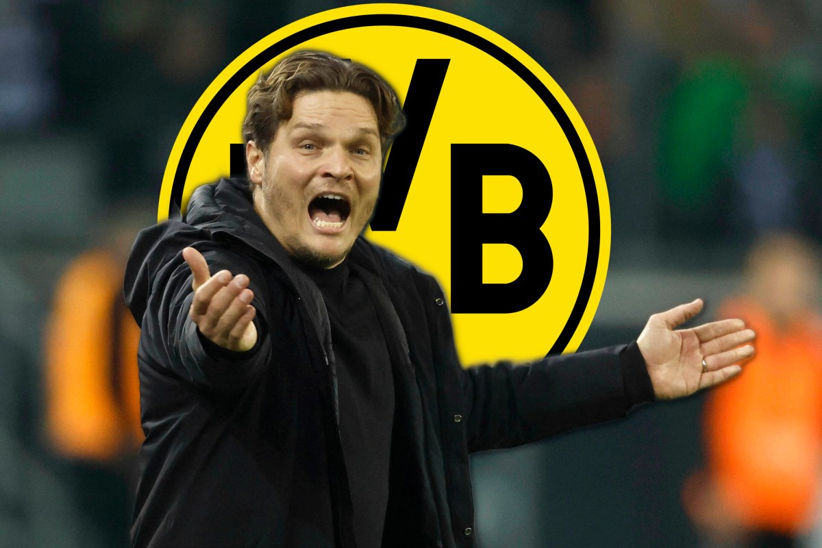 Borussia Dortmund Edin Terzic