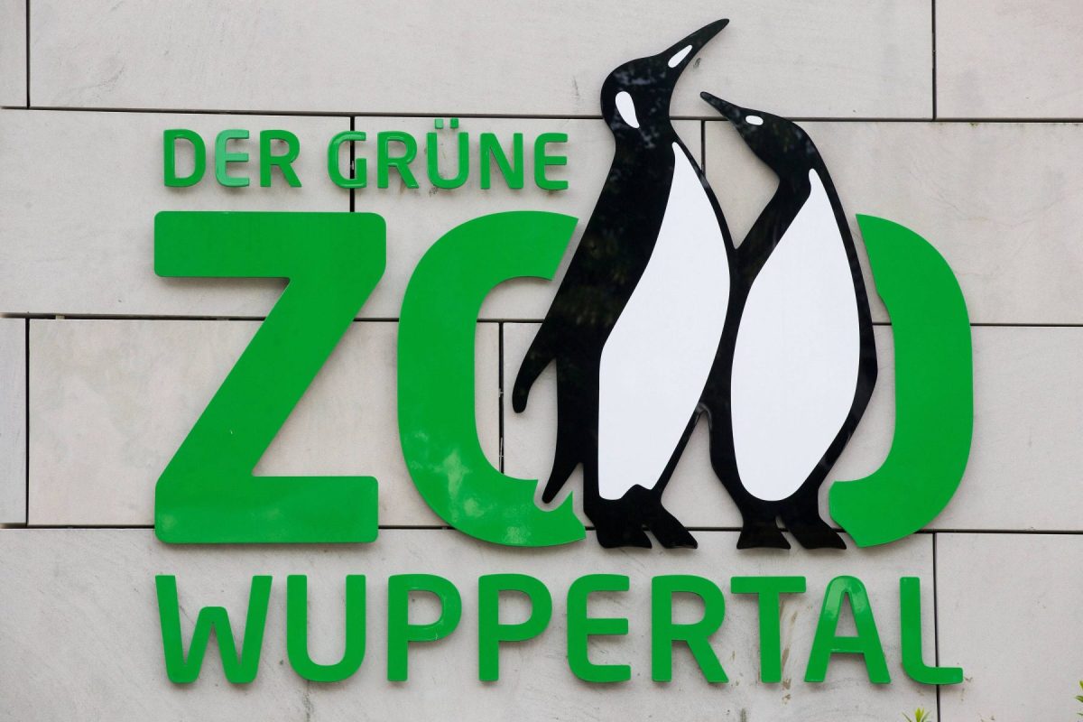 Im Zoo Wuppertal können Besucher bald einen Blick auf den Nachwuchs erhaschen! (Symbolfoto)