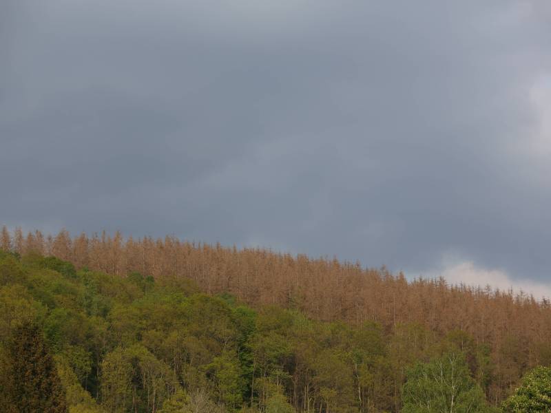 Wetter in NRW