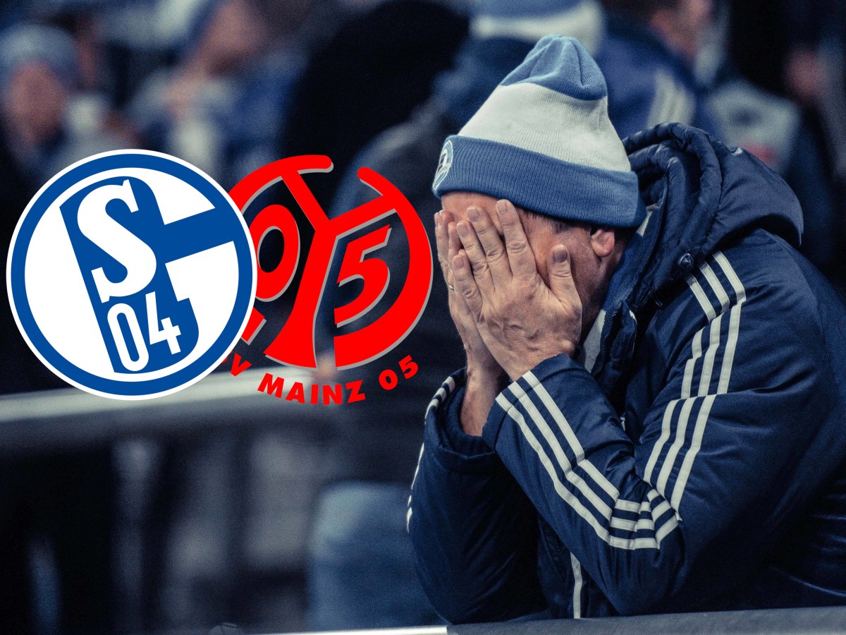 Ein Fan des FC Schalke 04