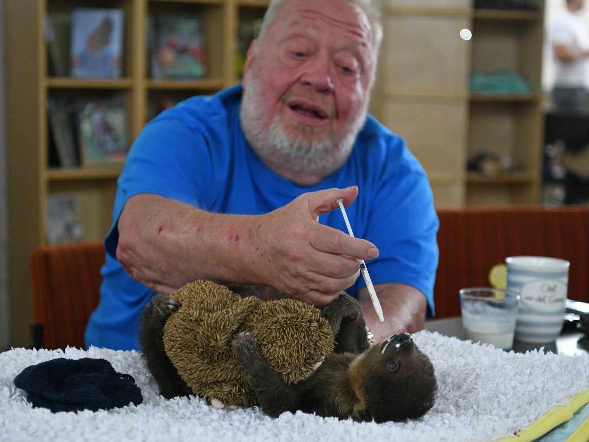 Zoo Zajac