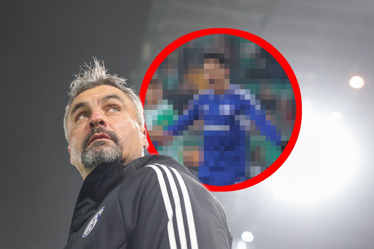 Schalke-Trainer Thomas Reis schaut kritisch hoch auf den jubelnden Soichiro Kozuki.