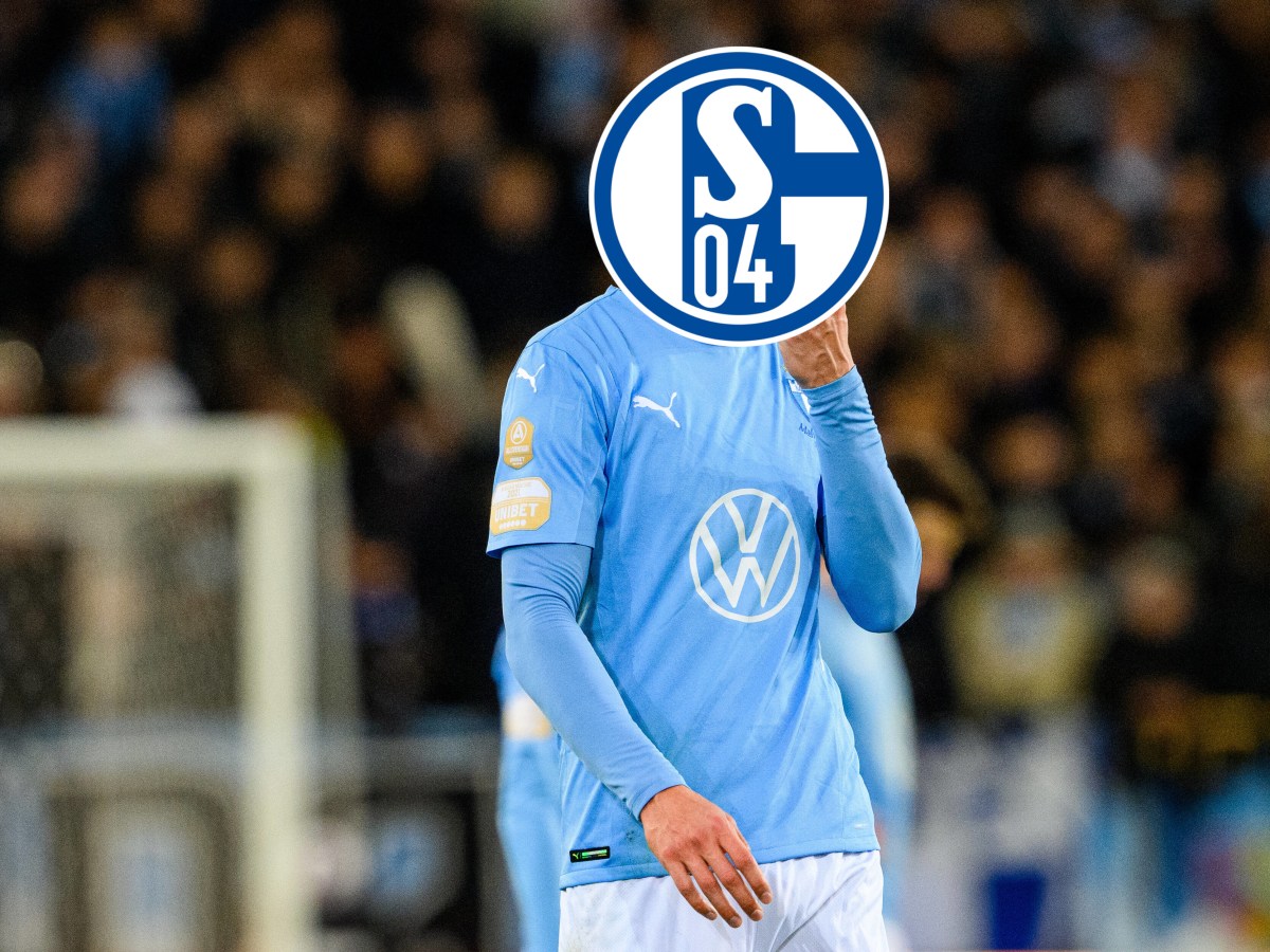 FC Schalke 04