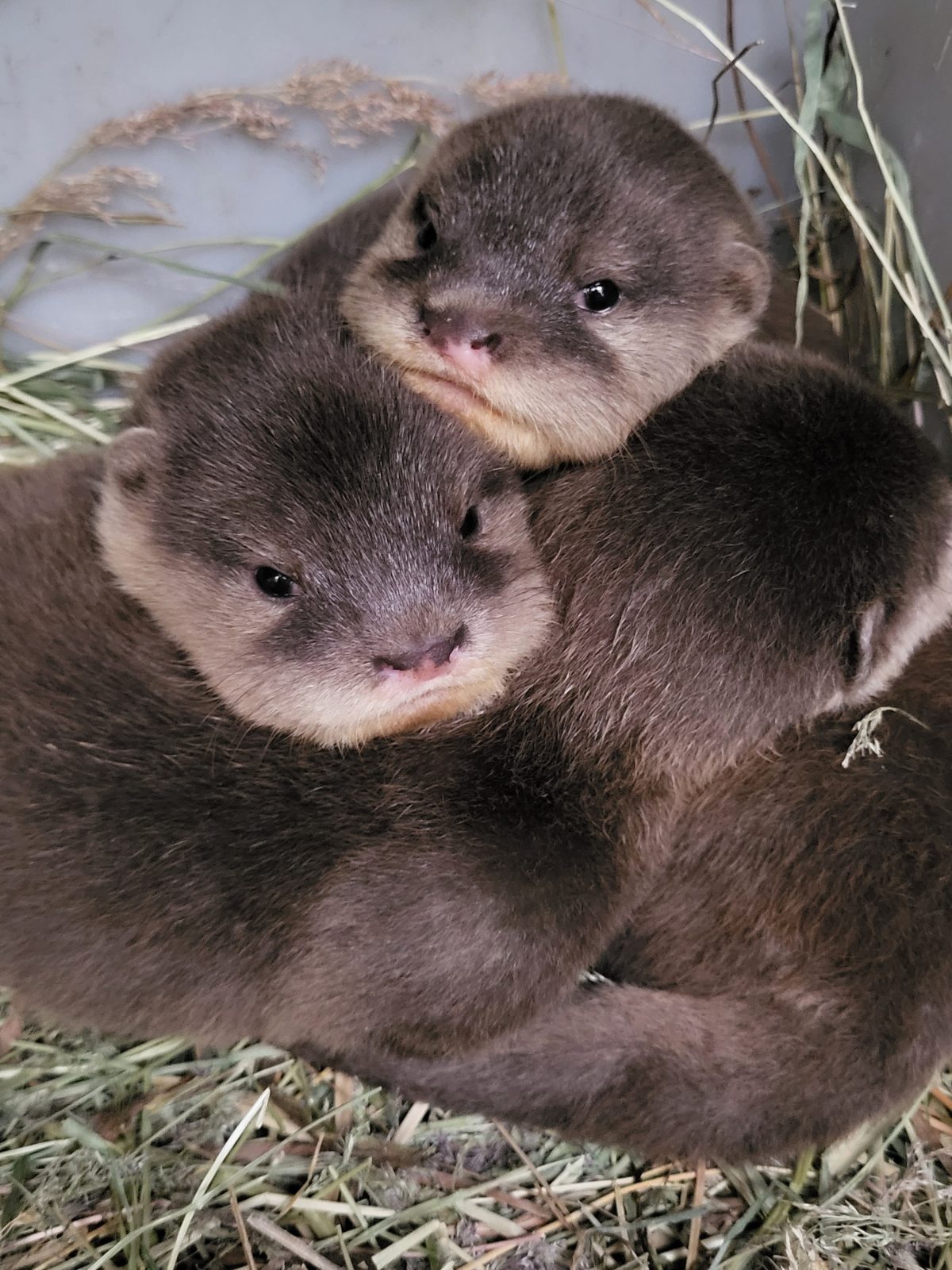 Zoo Duisburg