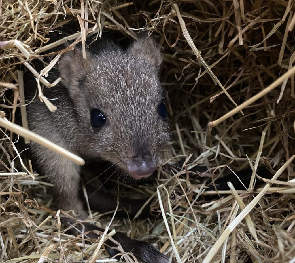 zoo duisburg