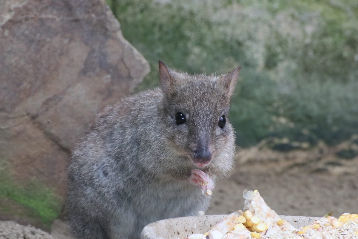 zoo duisburg