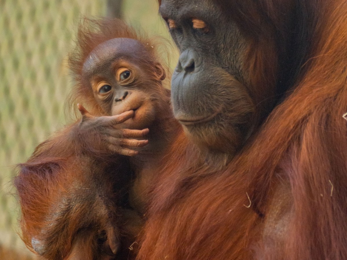 Zoo Dortmund