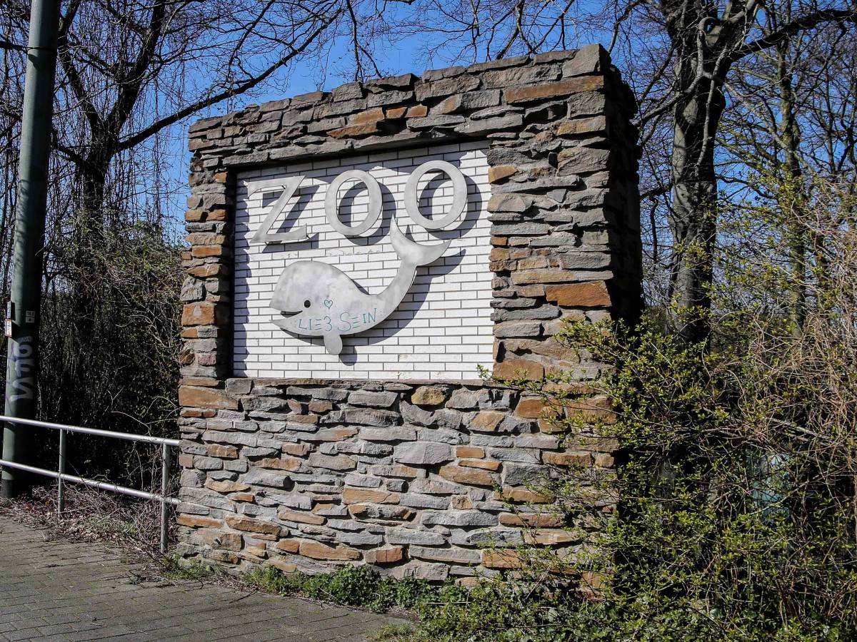 Zoo Duisburg: Geheimnis über Nachwuchs gelüftet.