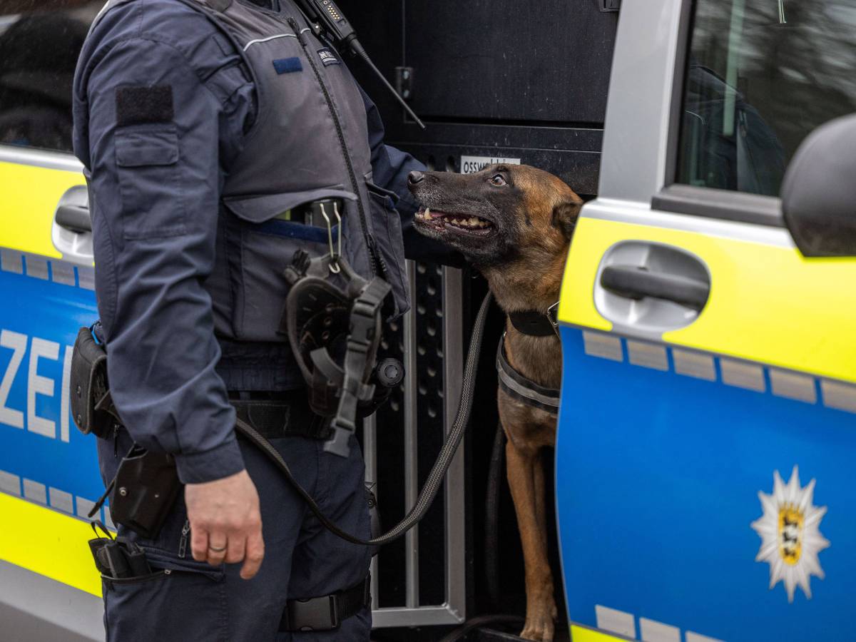 Ein Hund in NRW hat einen Beamten während einer Polizei-Übung angegriffen. Der Mann kam schwer verletzt ins Krankenhaus, der Hund wurde erschossen.