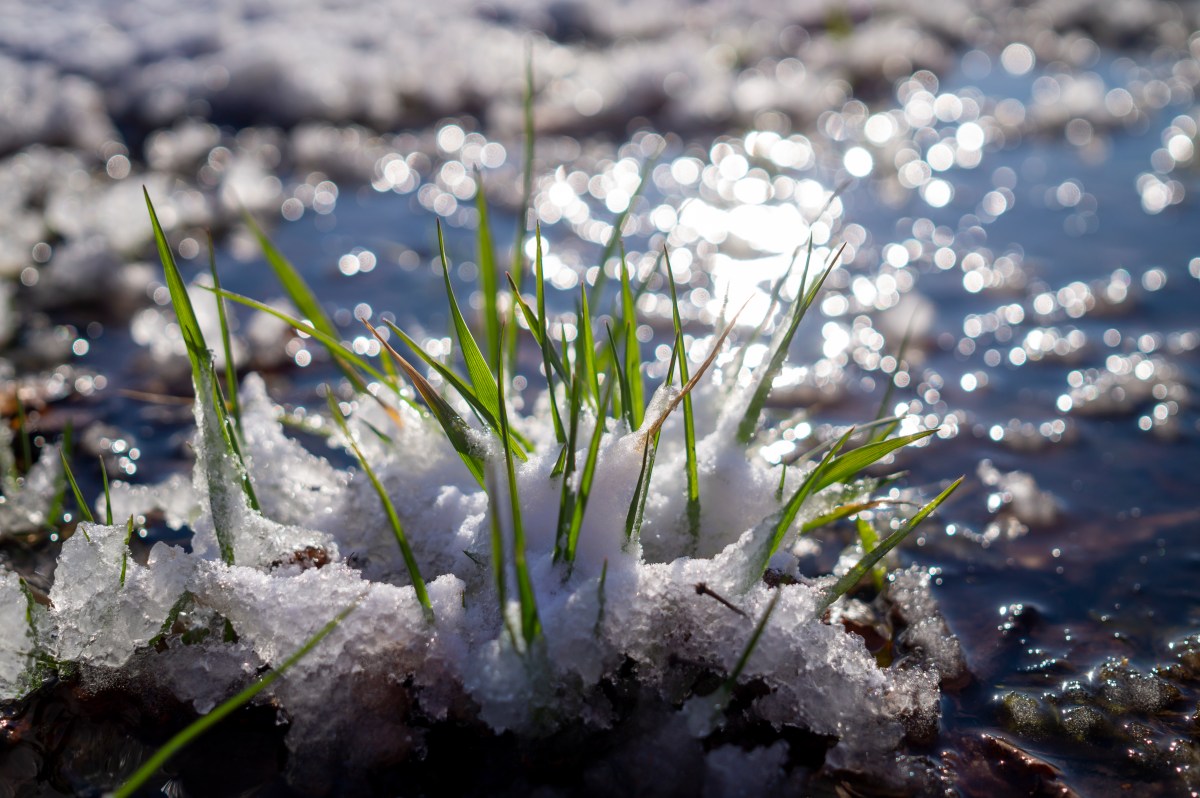 Wetter in NRW