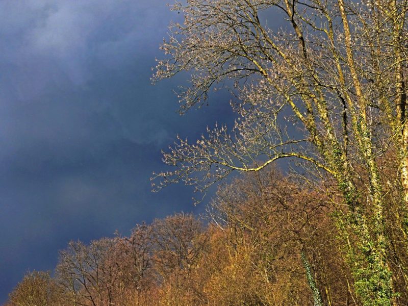 Wetter in NRW