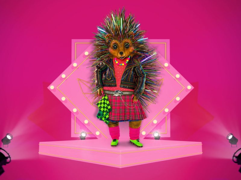 „Der Igel“ bei „The Masked Singer“: SIE wurde enttarnt