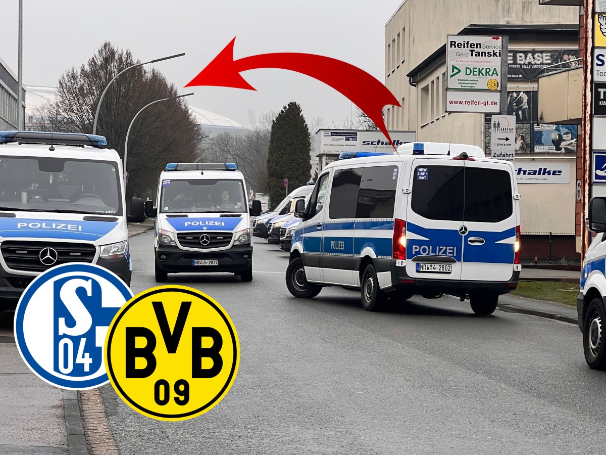 Schalke BVB