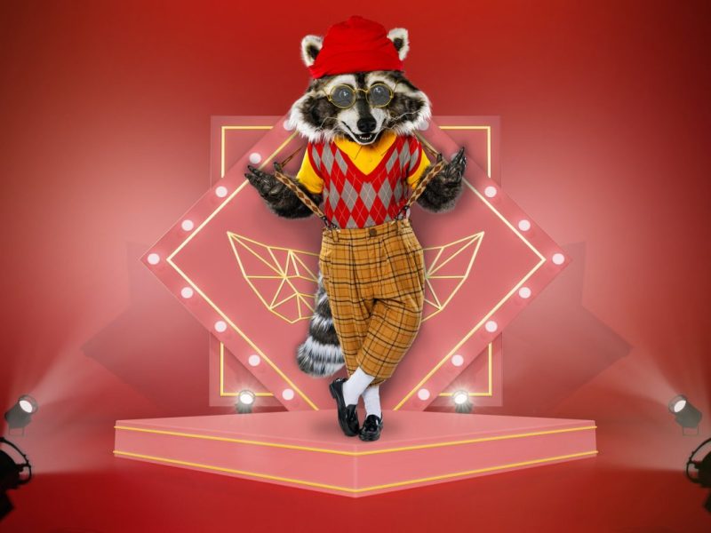 Der Waschbär bei „The Masked Singer“: Dieser „Frühstücksfernsehen“-Star steckt darunter