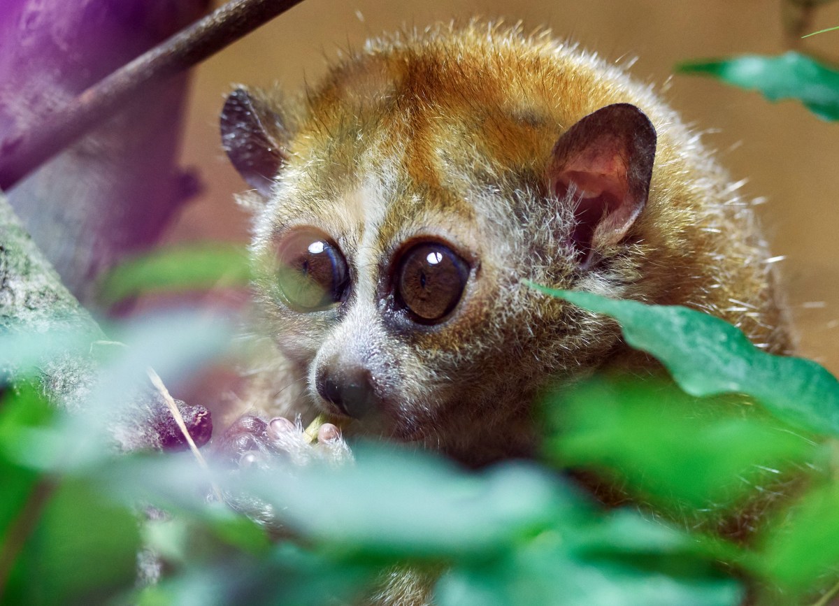 Zoo Dortmund