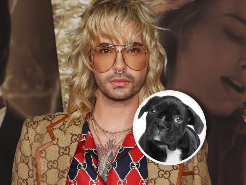 Bill Kaulitz