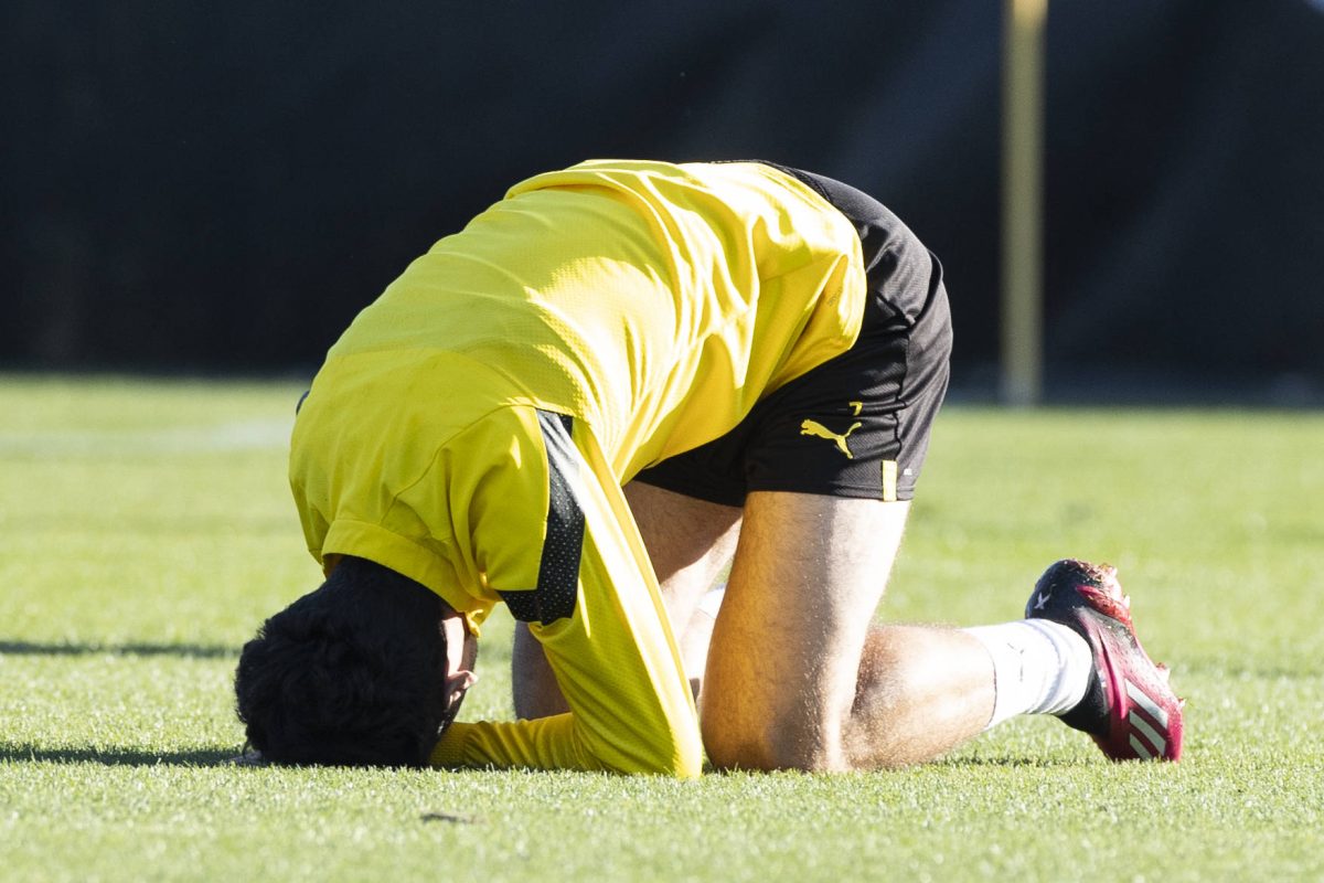 borussia-dortmund-reyna