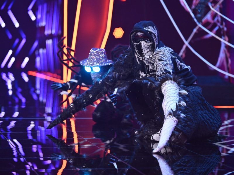 „The Masked Singer“: Zwei neue Stars enttarnt