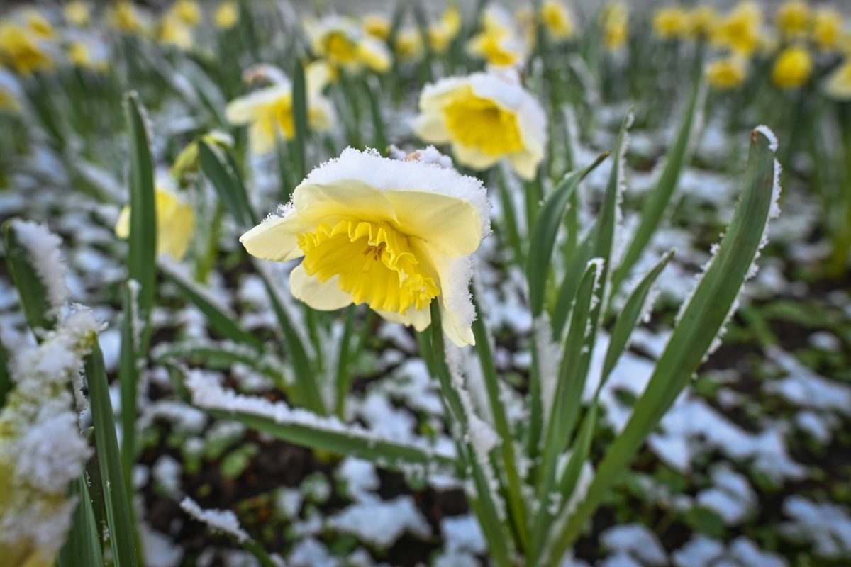 Wetter in NRW