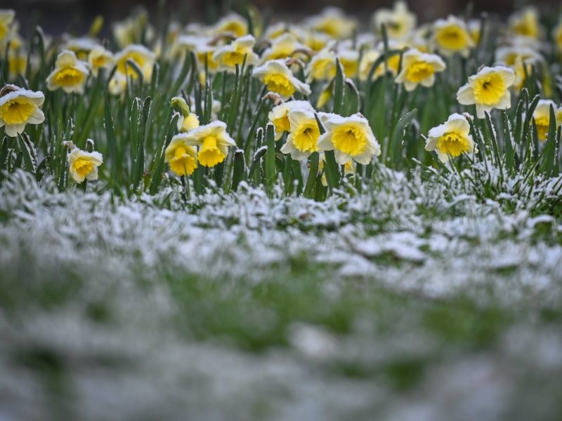 Wetter NRW