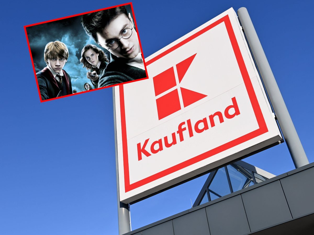 kaufland potter