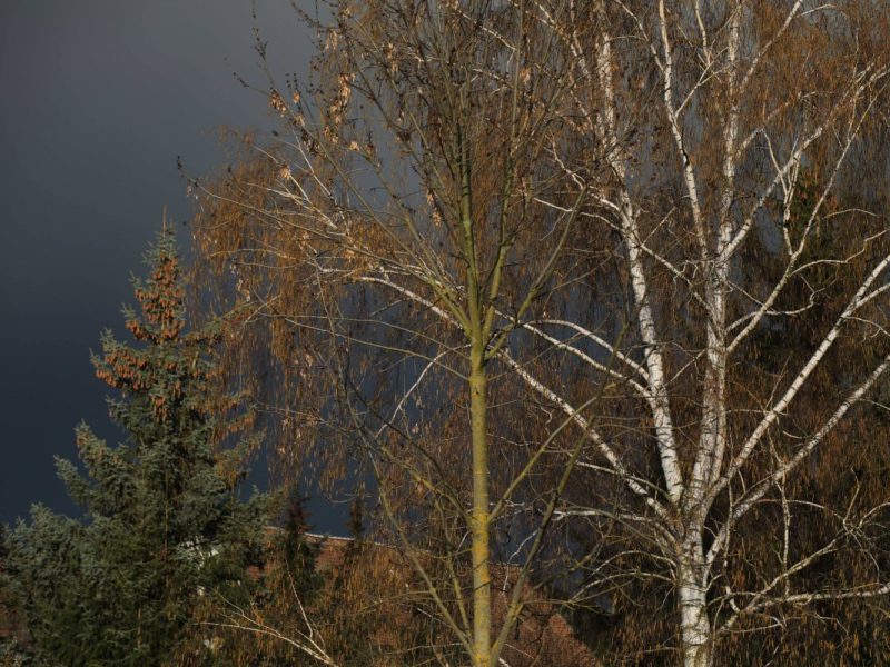 Gewitterwolke