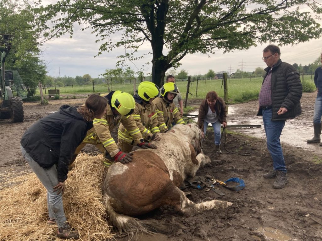 Wetter in NRW: Die Feuerwehr Ratingen bei einem tierischen Einsatz während des Unwetters.