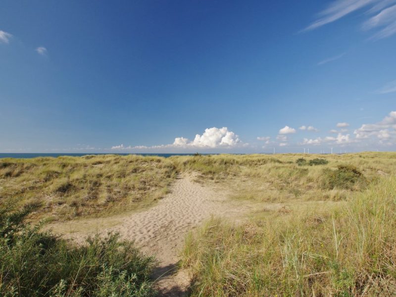 Eine Stadt in den Niederlanden erhält Beschwerden über das wilde Treiben von Liebespaaren in den Dünen. Die Gemeinde handelt sofort.
