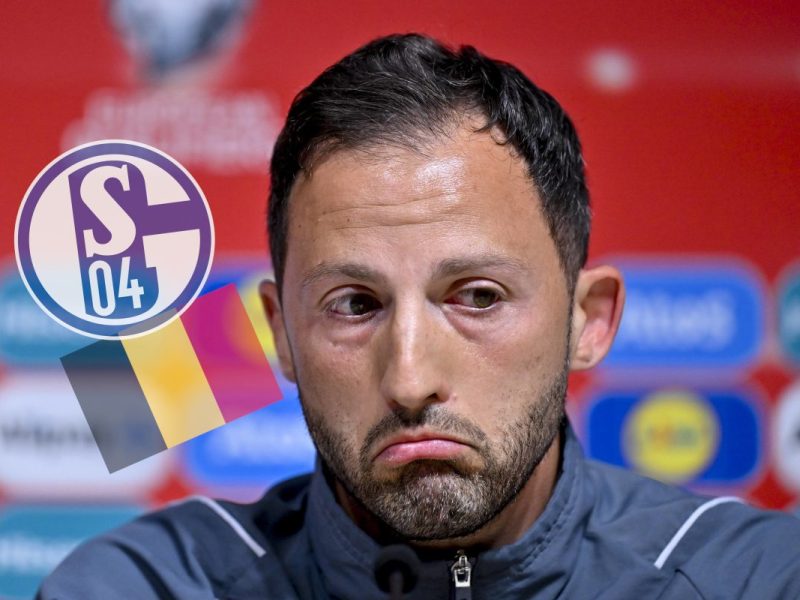 Domenico Tedesco fiel schon beim FC Schalke 04 durch Diskussionen auf.