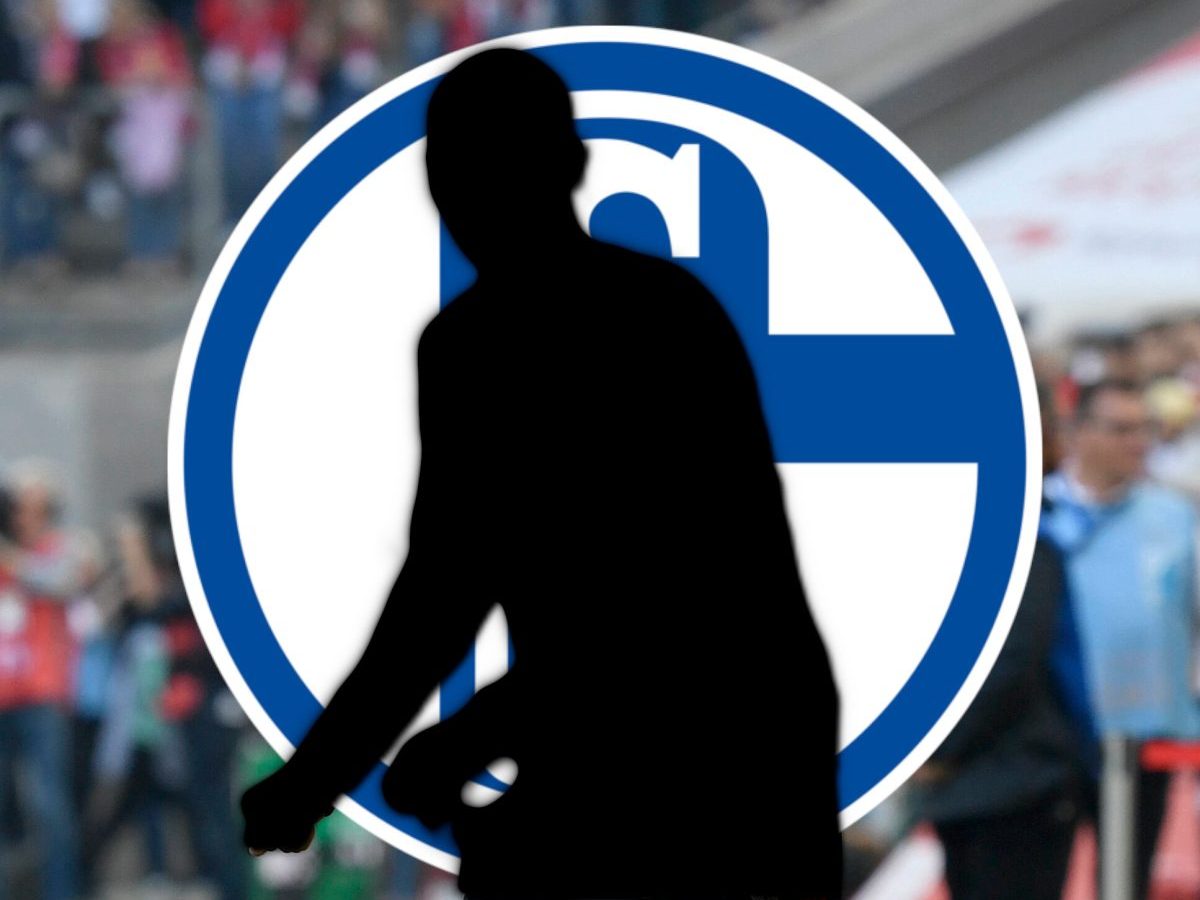 FC SChalke 04 Transfer Baumgartl