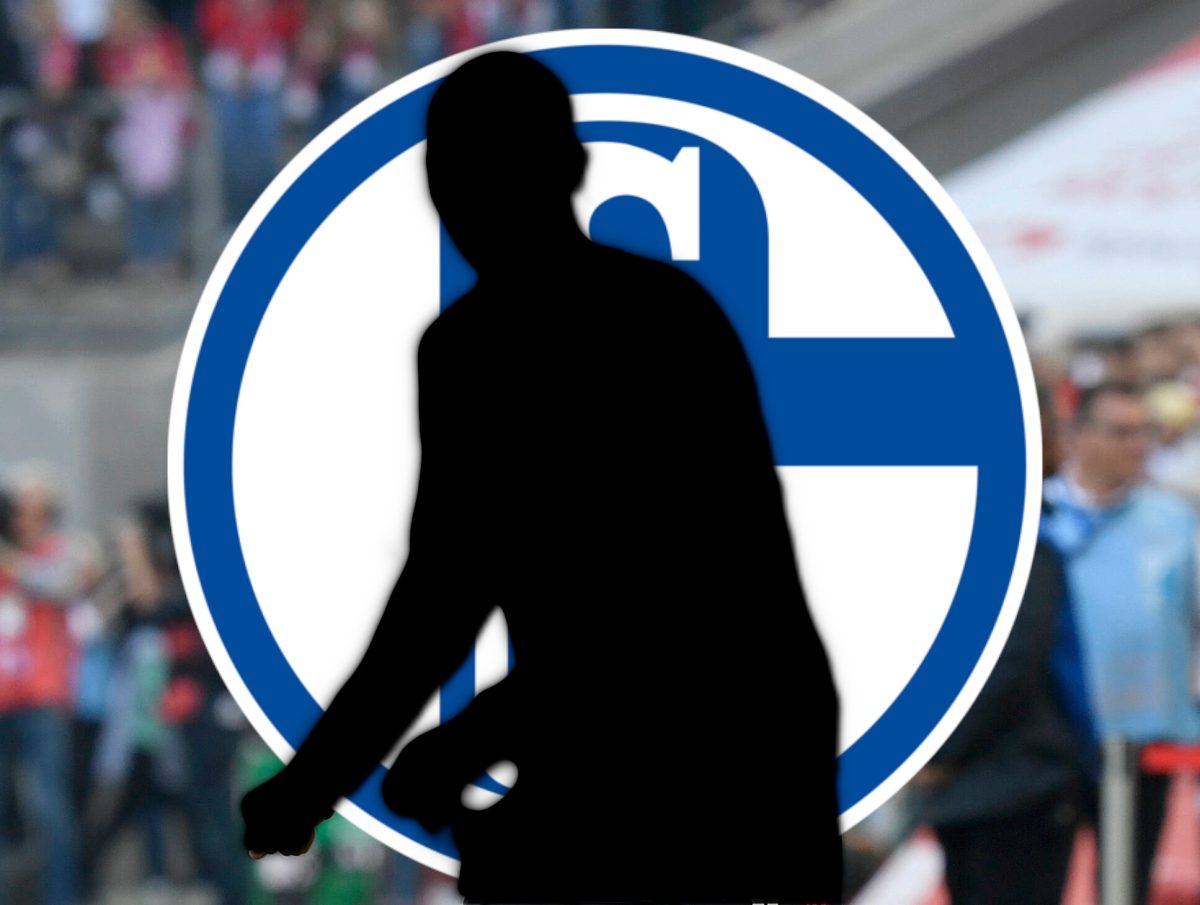 FC SChalke 04 Transfer Baumgartl