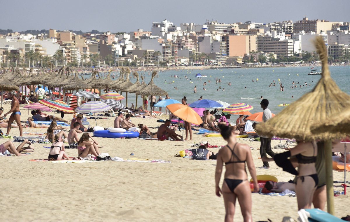 Auf Gran Canaria, Mallorca und Ibiza wurden Haie gesichtet. Experten machen sich bislang aber noch keine Sorgen.