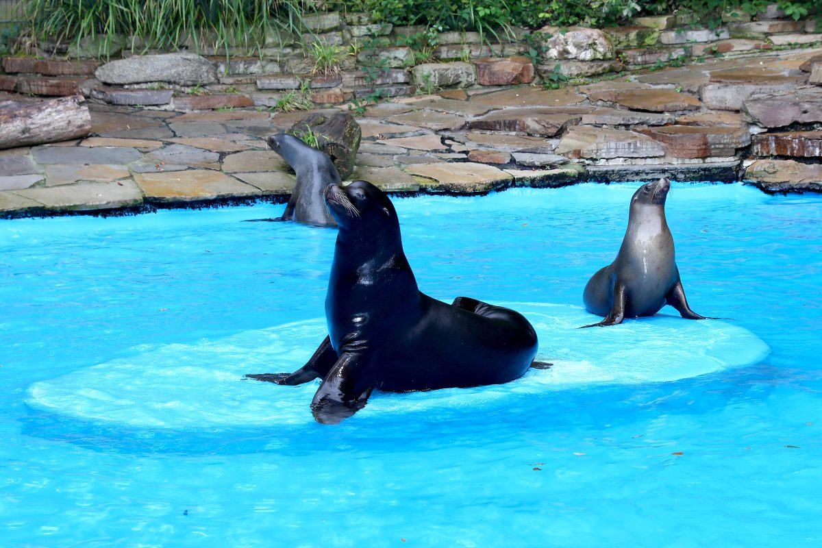 Dortmund Zoo: Änderung für Besucher