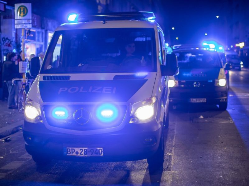 Die Polizei in Berlin sucht nach einer Löwin. (Symbolbild)