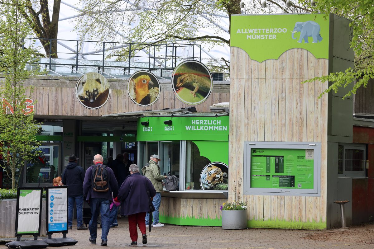 Zoo in NRW redet nach mehreren Todesfällen von Tieren im Allwetterzoo Münster Klartext.