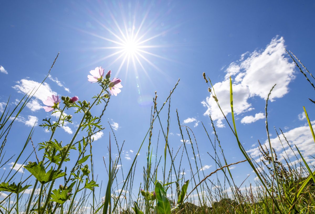 Wetter in NRW: Vorhersage schwierig