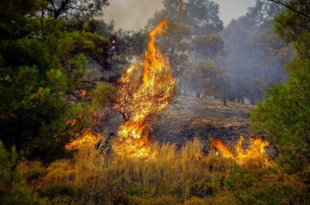 Feuer auf Rhodos, Griechenland