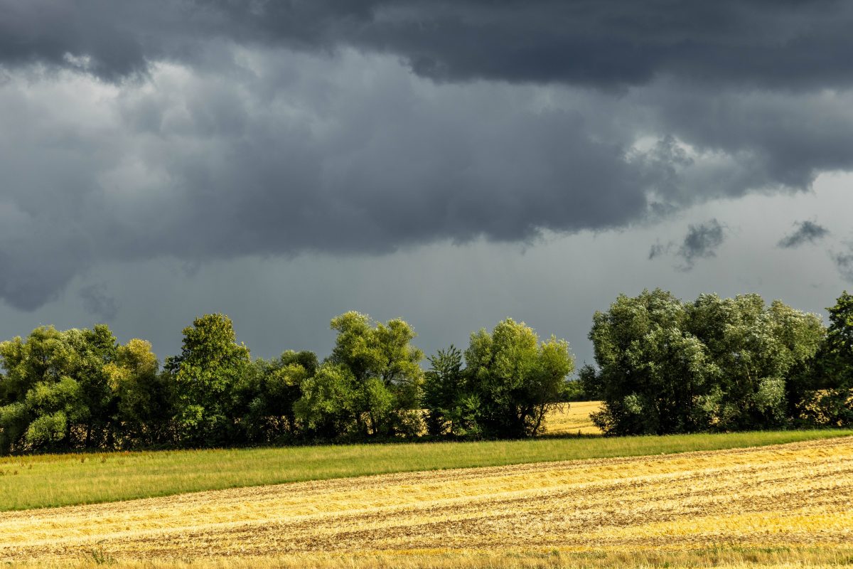 Wetter in NRW