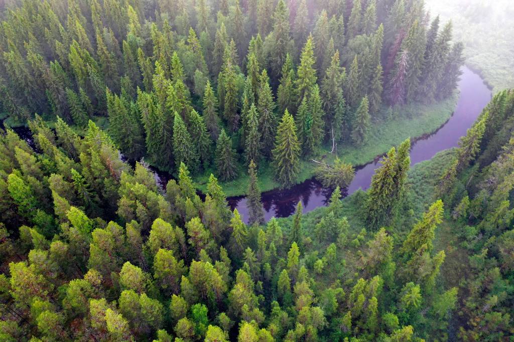 Luftbild von der Taiga mit Bach und Nadelwald in der Region Aelvdalen.