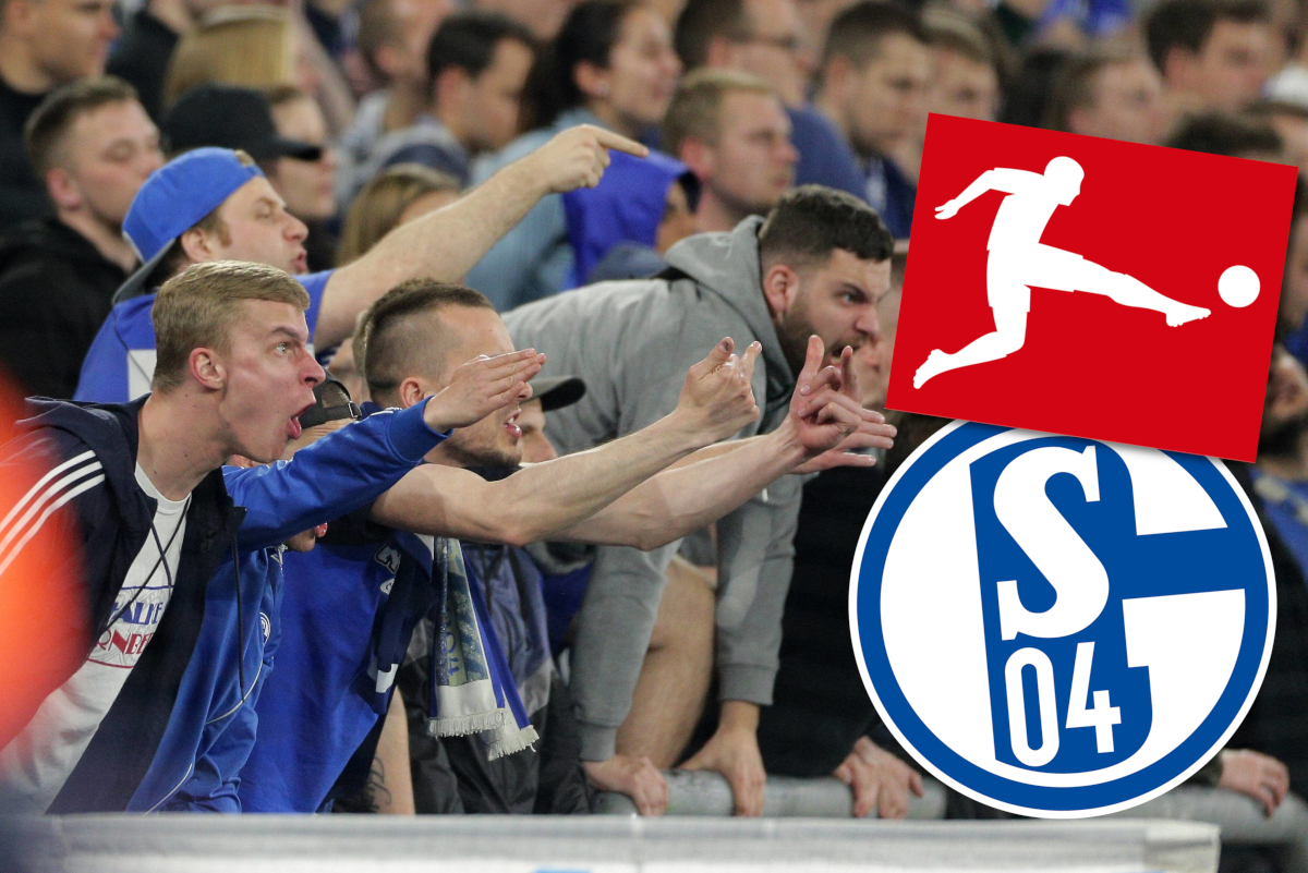 schalke-dfl