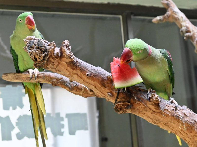 Zoo Dortmund
