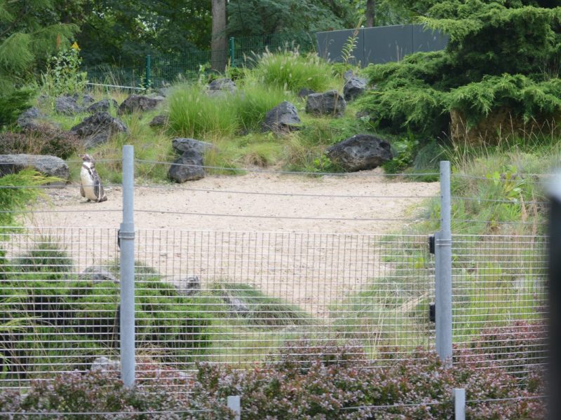 Zoo Rostock