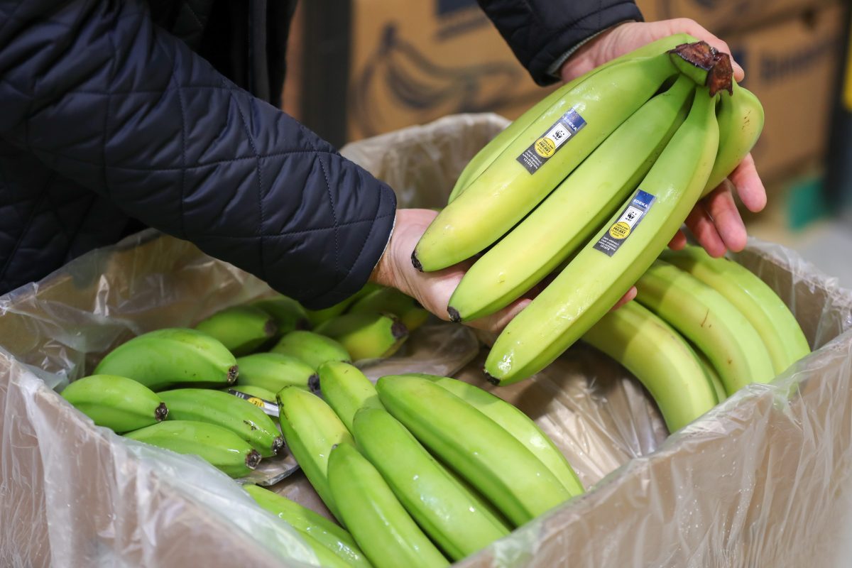 Ein Edeka-Mitarbeiter macht in der Bananenkiste einen überraschenden Fund. (Symbolfoto)