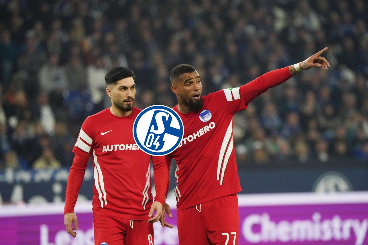 Spielten einst beide beim FC Schalke 04: Suat Serdar und Kevin-Prince Boateng.